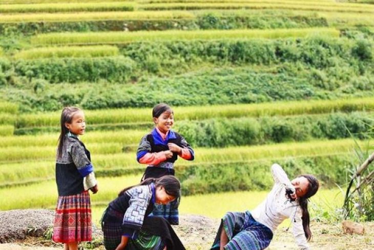 What Is The Best Time To Visit Mu Cang Chai?
